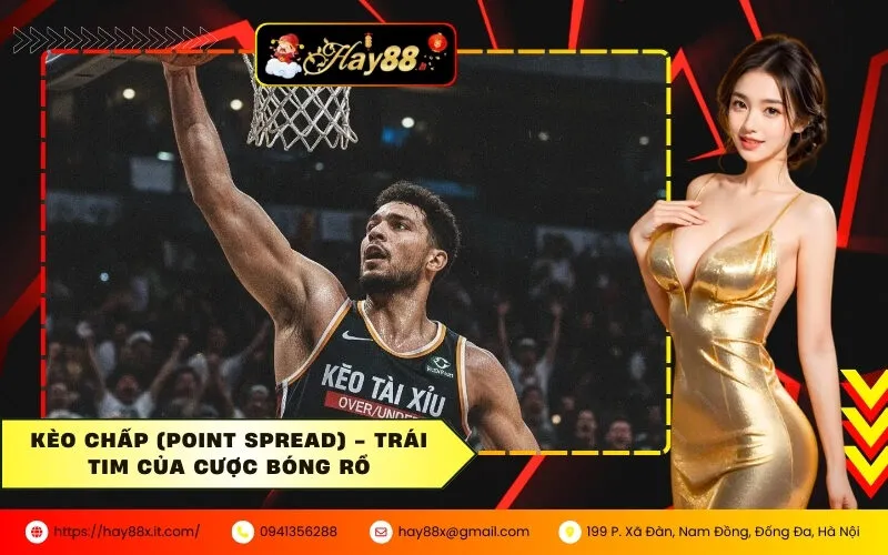 Kèo Chấp (Point Spread) - Trái tim của cược bóng rổ
